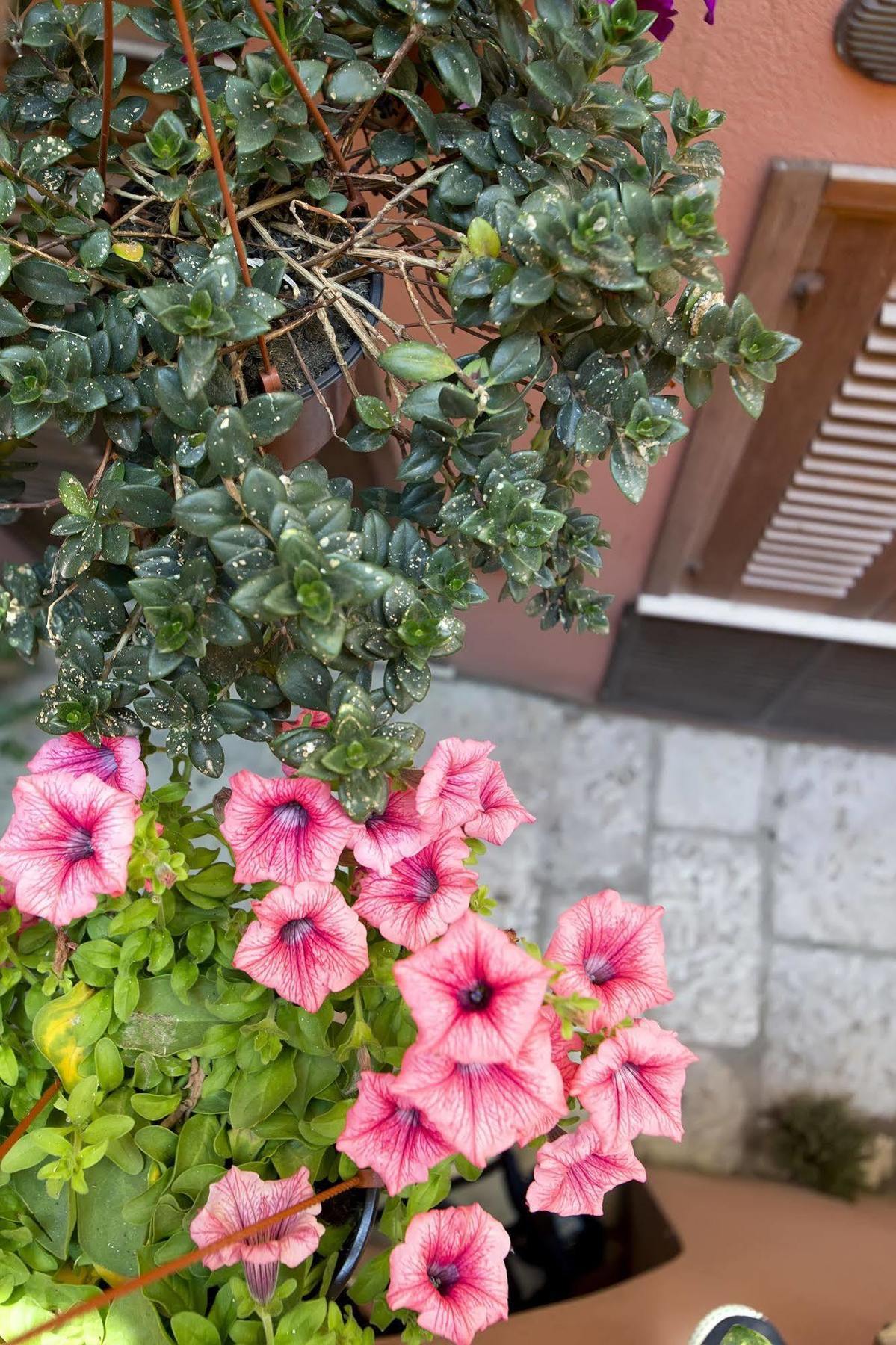 Ferienwohnung Il Cortile Fiorito Trapani Exterior foto